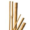 5-tuteurs-bambou-naturel-h120-cm-x-10-12-mm