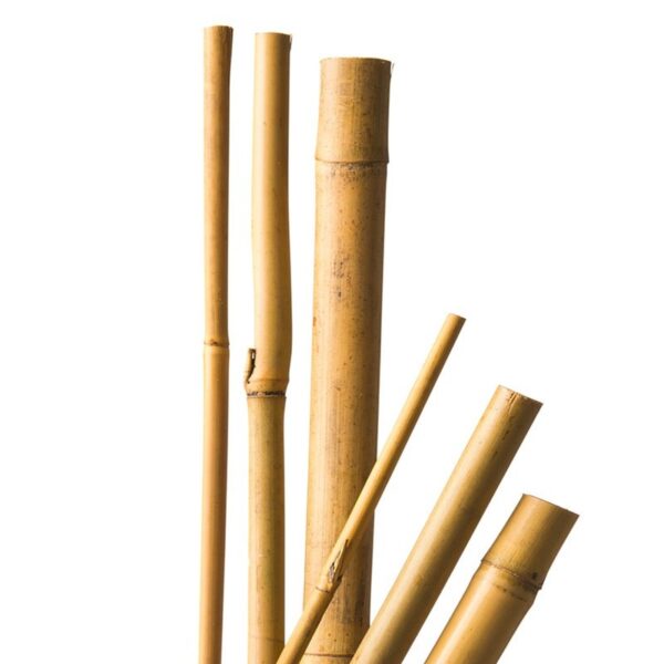 7-tuteurs-bambou-naturel-h90-cm-x-8-10-mm