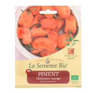 graines-bio-piment-habareno-orange-20gn