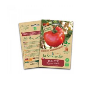 graines-bio-tomate-reine-des-hatives-01gramme