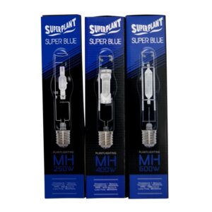 2-ampoule-superplant-superblue-mh-400w-14000k